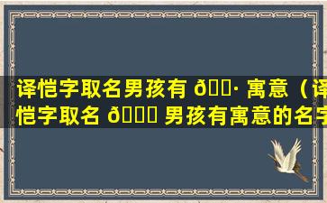 译恺字取名男孩有 🌷 寓意（译恺字取名 🐅 男孩有寓意的名字）